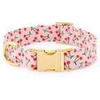 Cherry Jubilee Collar Walk Set