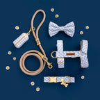 Sky Blue Gingham Harness Walk Set