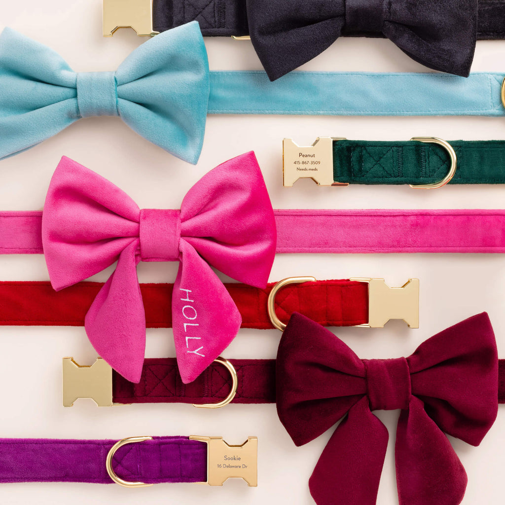 Robin’s Egg Velvet Bow Tie Collar