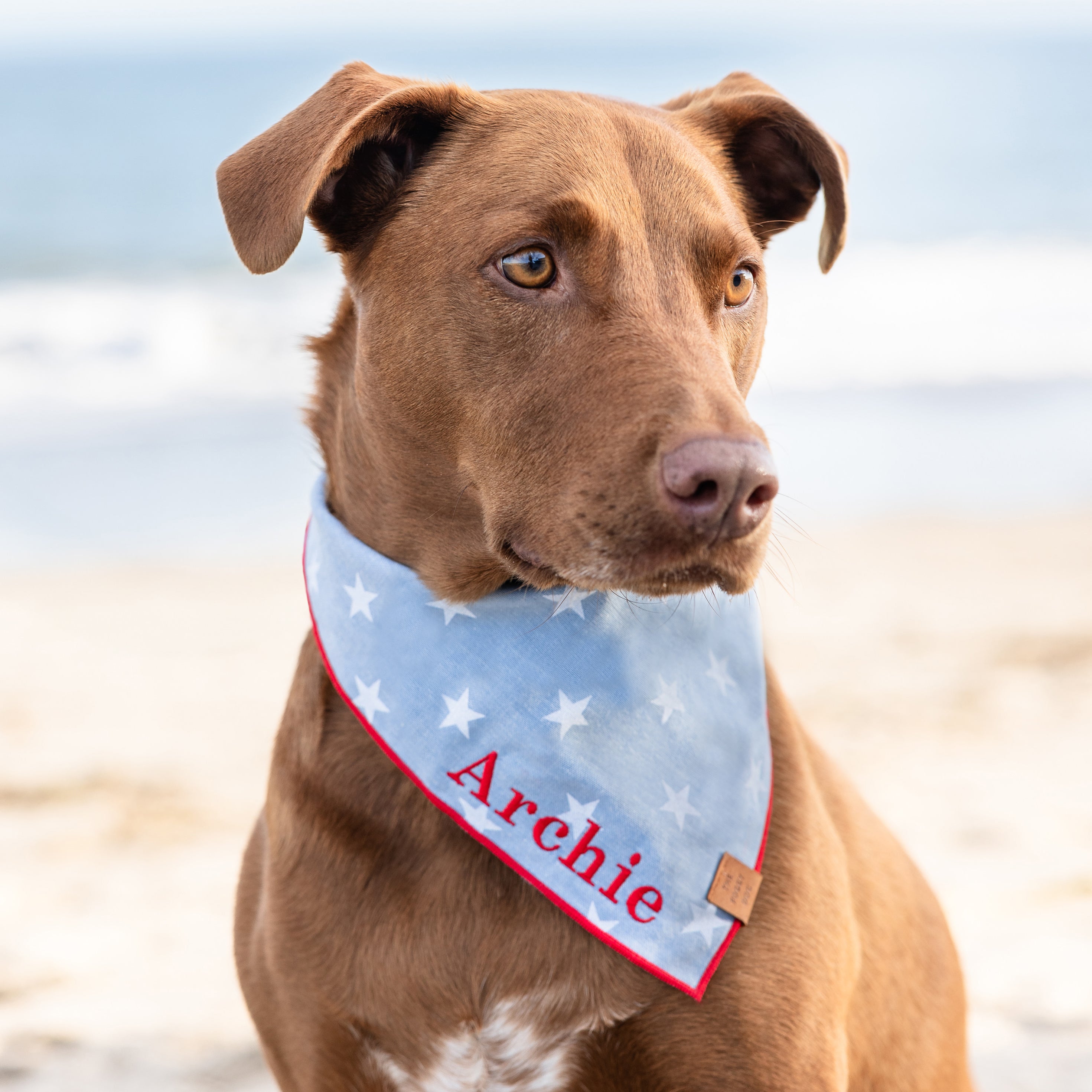 Liberty Dog Bandana