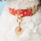 Circle Pet ID Tag