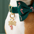 Bone Pet ID Tag