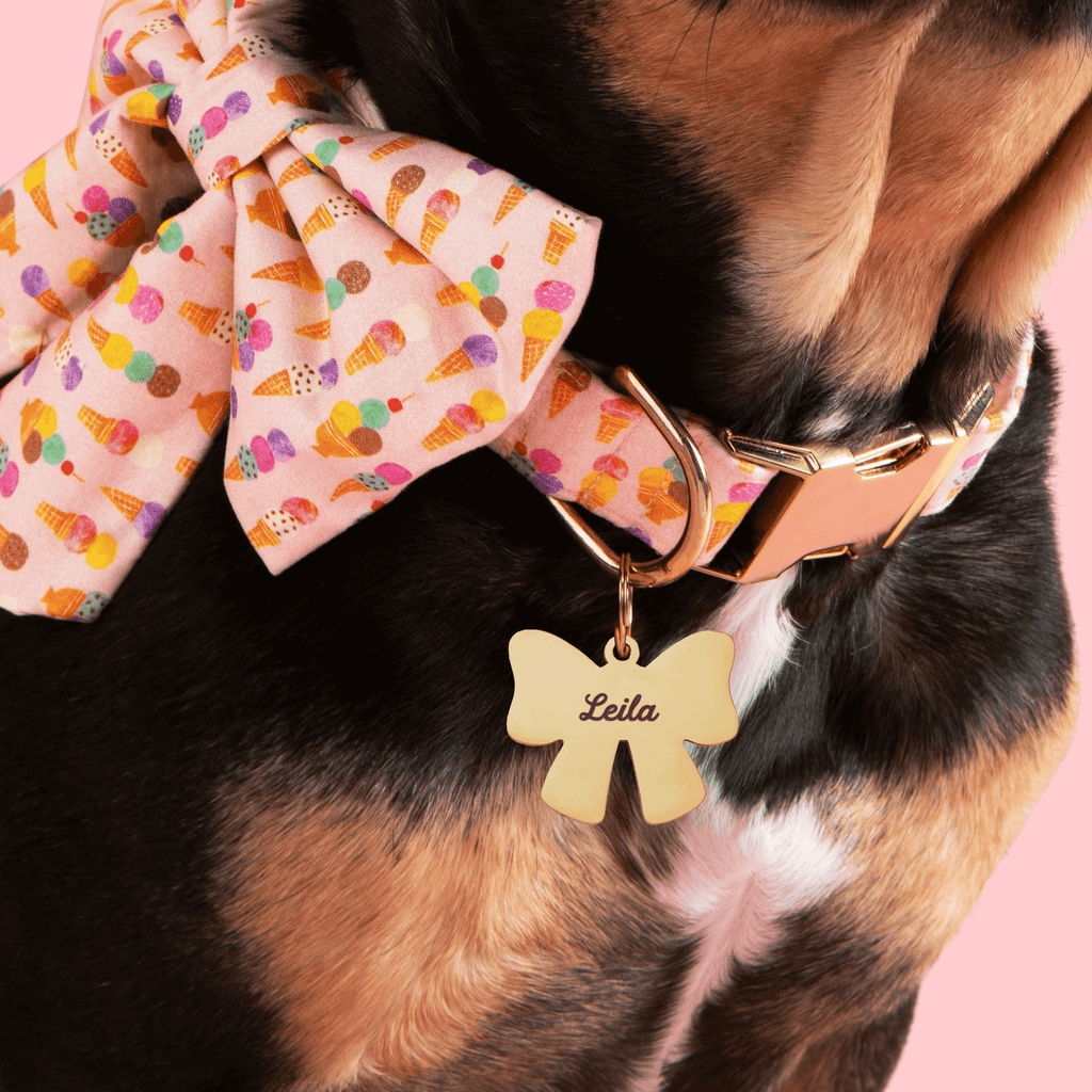 Lady Bow Pet ID Tag