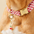 Cherries Collar Charm