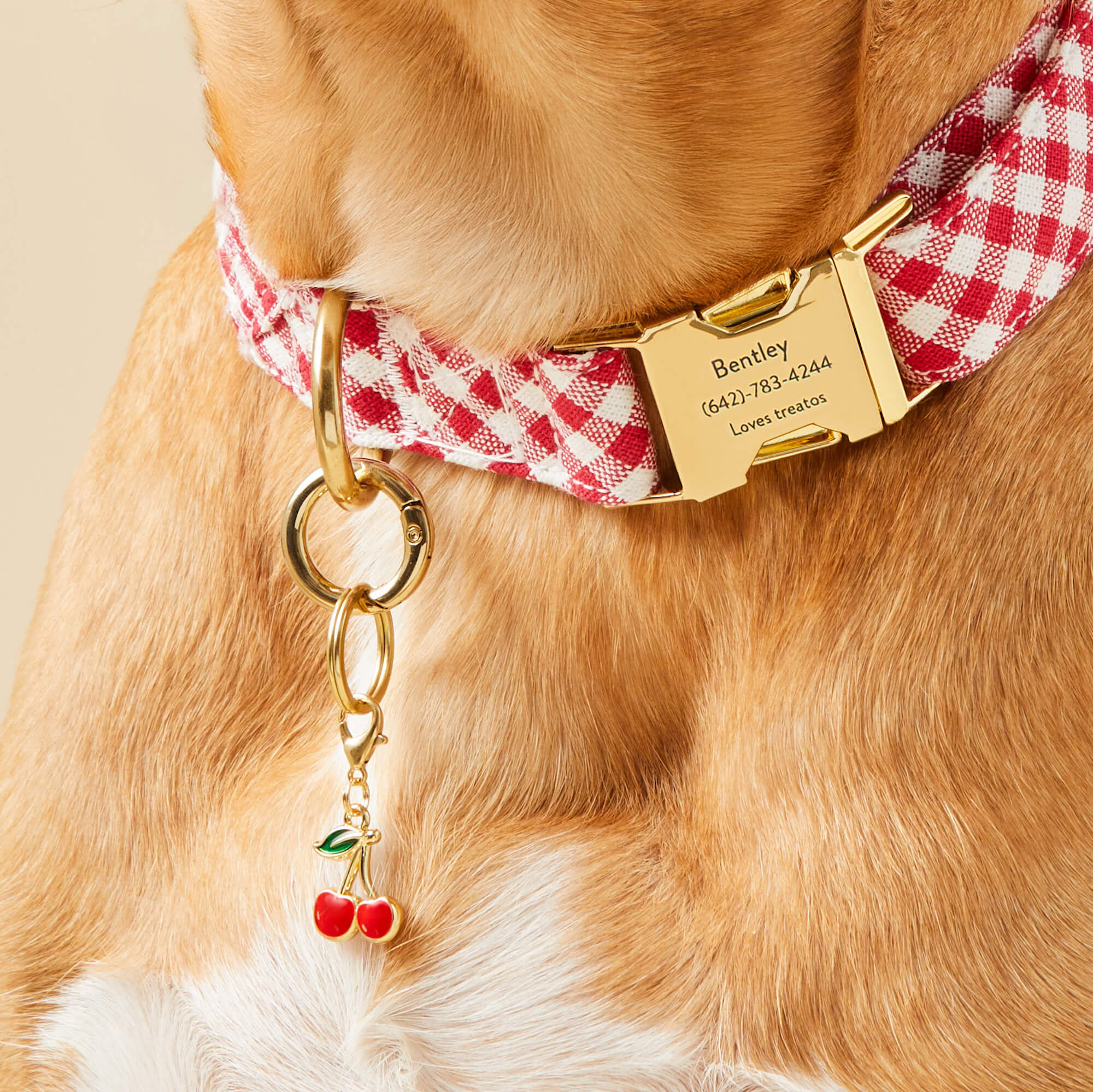 Cherries Collar Charm