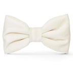 Ivory Velvet Dog Bow Tie