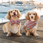 Nantucket Stripe Dog Bandana
