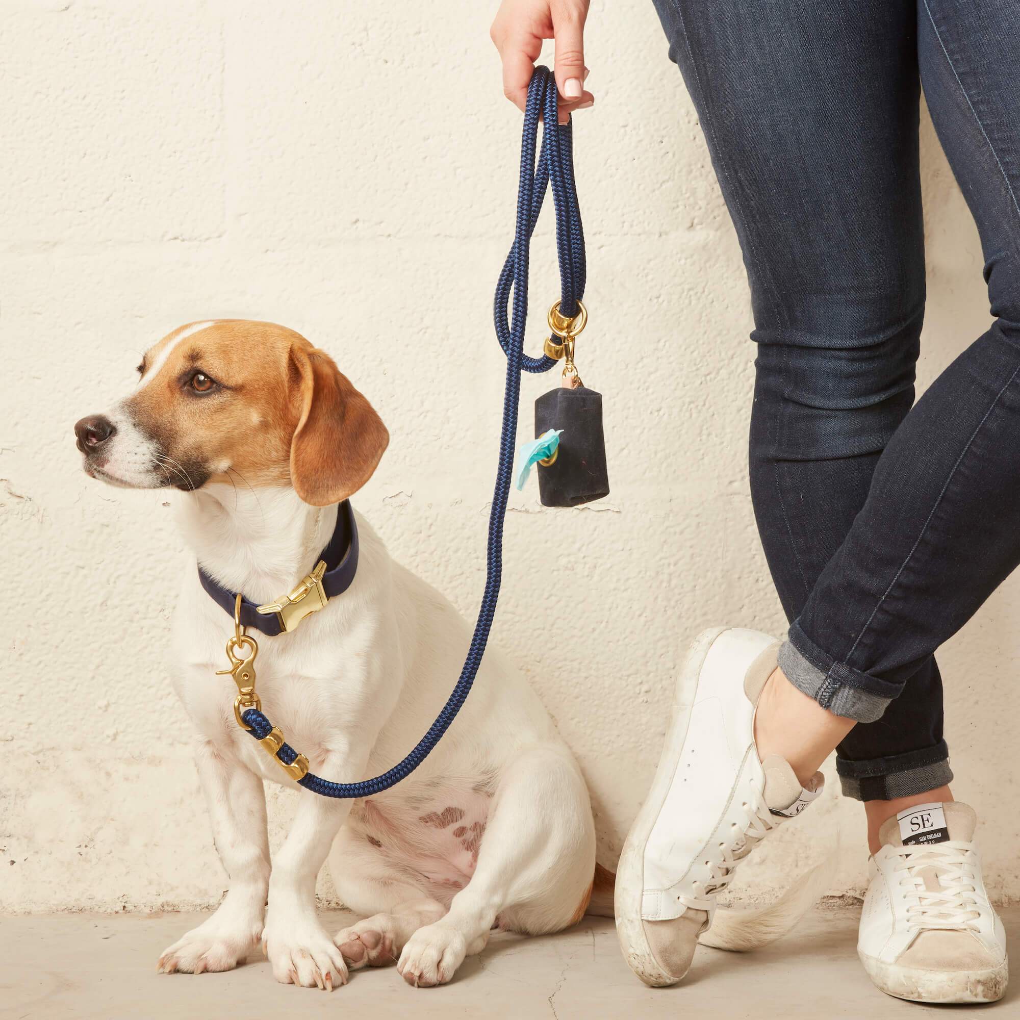 Ocean Collar Walk Set