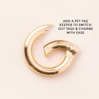 Sweet as Honey Collar Charm Set