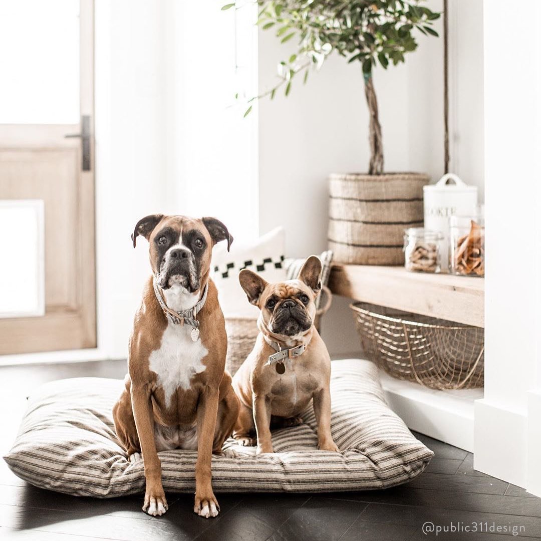 Ticking Stripe Dog Bed